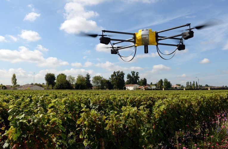 La agricultura peruana tiene un gran futuro