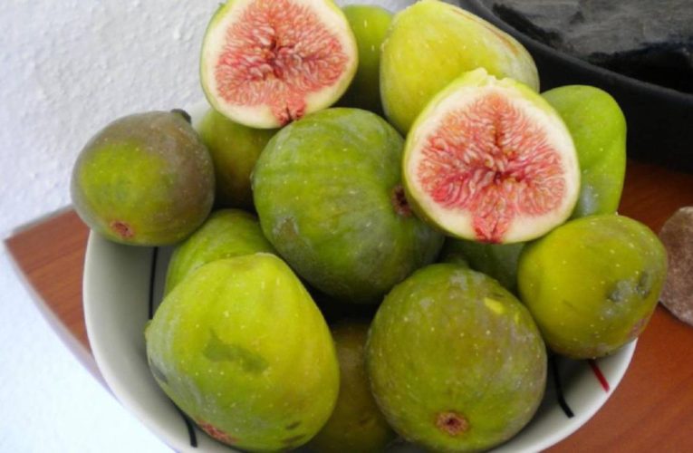 Jaén prevé una producción de 110.000 kilos de breva