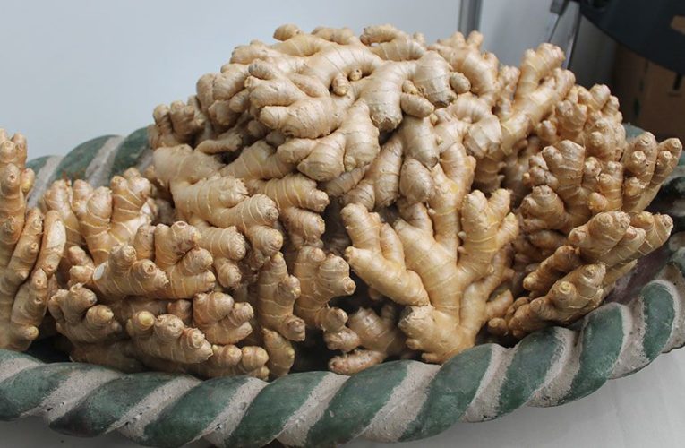 ¿Por el covid-19? Exportaciones de kion crecieron 137 % en abril