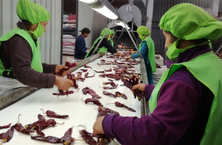 ADEX: urge impulsar una Agenda Perú para salir de la crisis